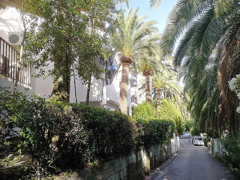 Apartmani I Sobe Goca Herceg Novi Exterior foto
